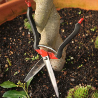 Buy Gardening Secateurs, Loppers & Scissors Online Today Find Secateurs, Loppers & Scissors deals Online - Keep your garden happy with Egardener Online