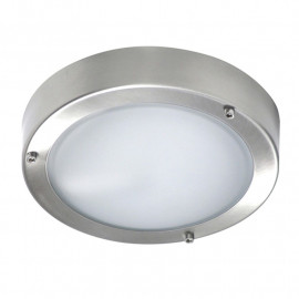 Byron Stainless Steel Led Outdoor Ceiling / Wall Light
