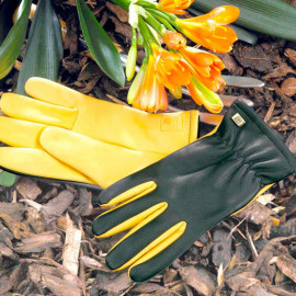 Rhs Dry Touch Gloves Ladies