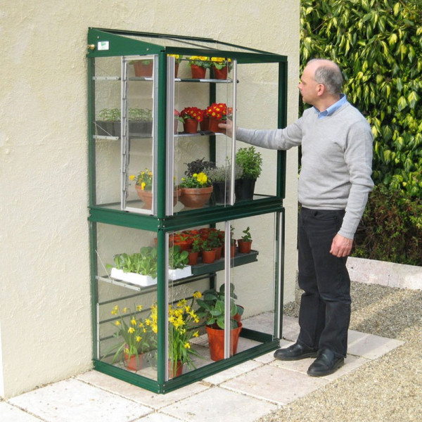 Buy Deluxe Mini Lean To Greenhouse Racing Green Online - Green plants & flowering plants