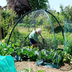 Popadome Frame & Insect Net Cover