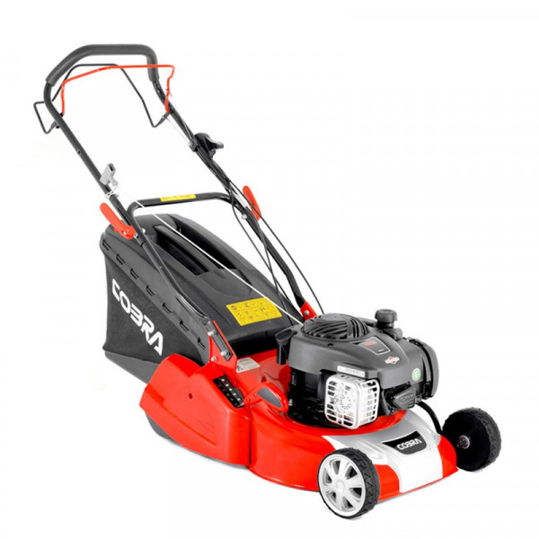 Buy Cobra 16 Petrol Powered Rear Roller Lawnmower B&S Online - Green plants & flowering plants